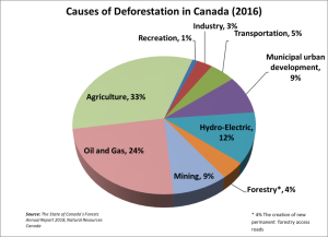 CausesOfDeforestationInCanada 1 1024x742