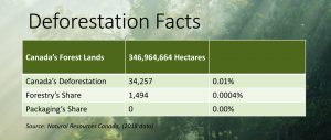 DeforestationFacts2020 1024x435
