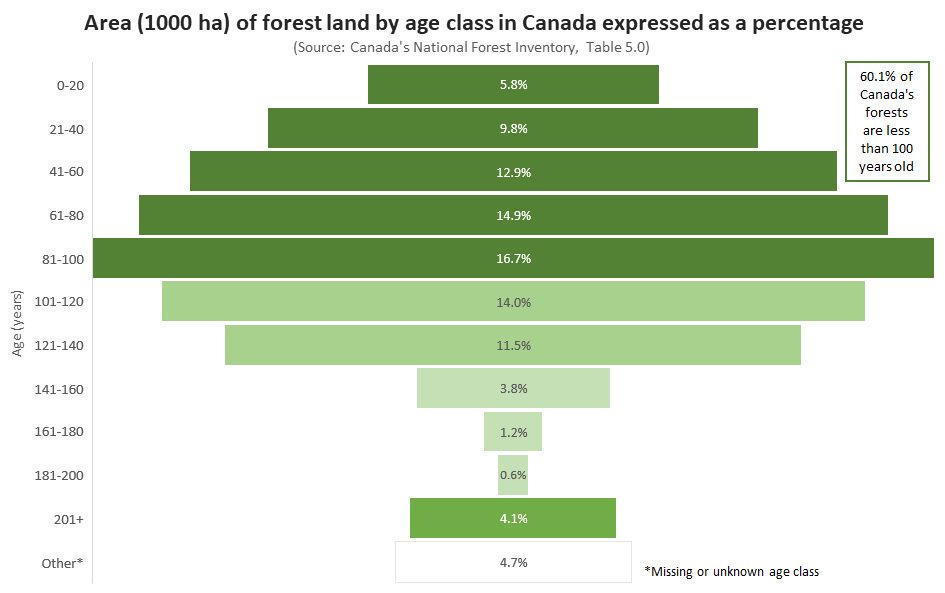 Area of forest land by age class in Canada expressed as a percentage