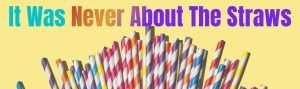 website blog image straws