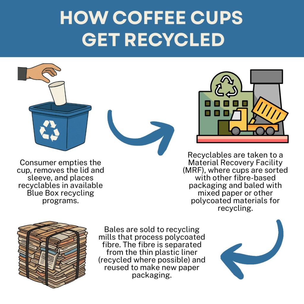 Coffee Cup Recycling infographic 29Sept2025