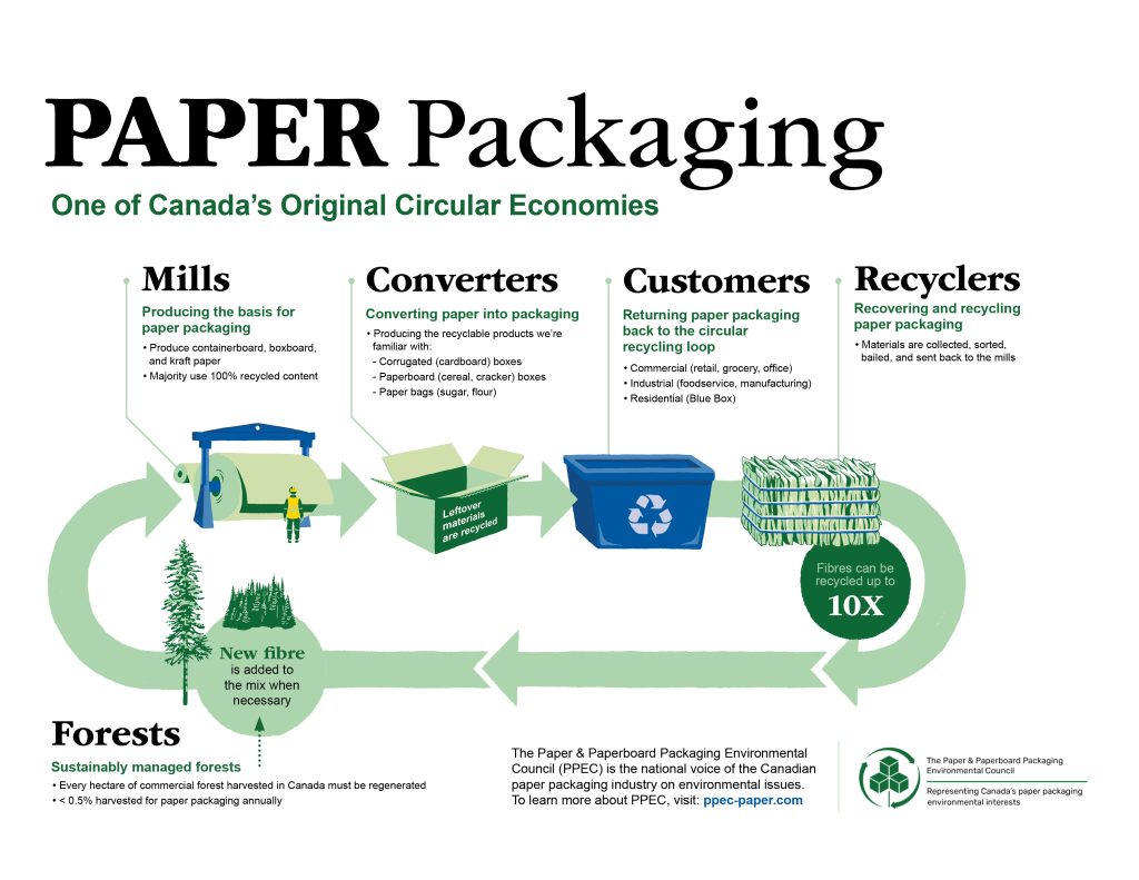 20240611 PPEC Circular Economy Infographic Horizontal